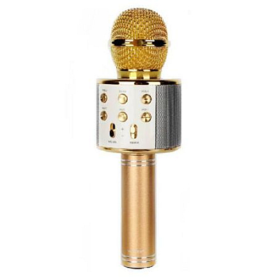 Microfon WS-858 Karaoke Wireless cu Bluetooth  cu Boxa inclusa