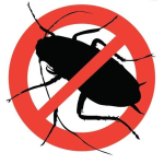 Set 2 Bucati X Solutie Gel pentru Gandaci RoachDoctor cu Efect Imediat  Foarte Eficienta - MD