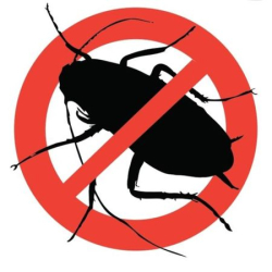 Set 2 Solutie pentru Gandaci tip GEL RoachDoctor cu Efect Imediat  FOARTE Eficienta BS