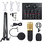 Set Microfon Profesional MIC8