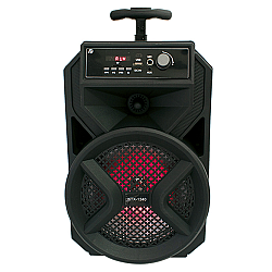 Boxa portabila KTX-1340 8" cu microfon