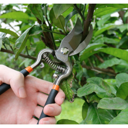 UB Foarfeca pentru gradina 10 inch