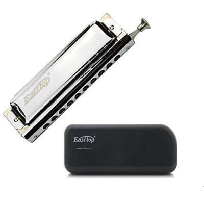 Muzicuta East Top T10-40 Profesionala 10 Gauri