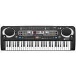 Orga Electronica  54 Clape si Microfon 