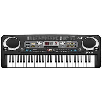 Orga Electronica  54 Clape si Microfon