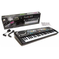 Orga Electronica  54 Clape si Microfon  Orga Electronica  54 Clape si Microfon