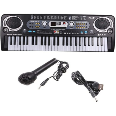 Orga Electronica  54 Clape si Microfon