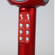 Microfon Karaoke Wireles cu Boxa si Lumini