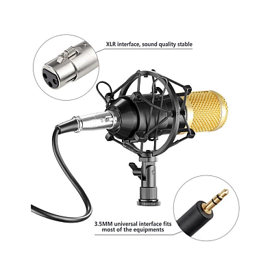 Microfon Profesional BM800 Inregistrare Vocala si Karaoke