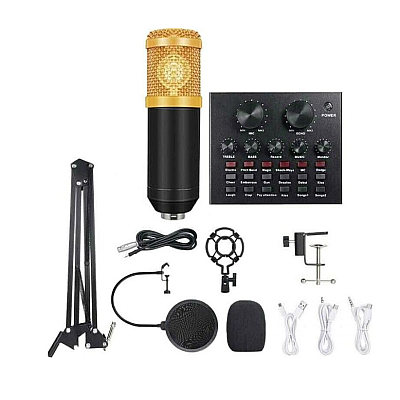 Set Microfon Profesional MIC8