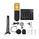 Set Microfon Profesional MIC8