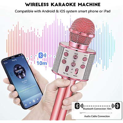 Microfon Wireless Kararoke WS858 functie Bluetooth Card Sd putere 5W