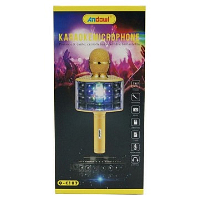 Microfon Karaoke de copii Wireless Model C107