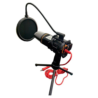 Microfon Profesional QY K222 Trepied Si Filtru