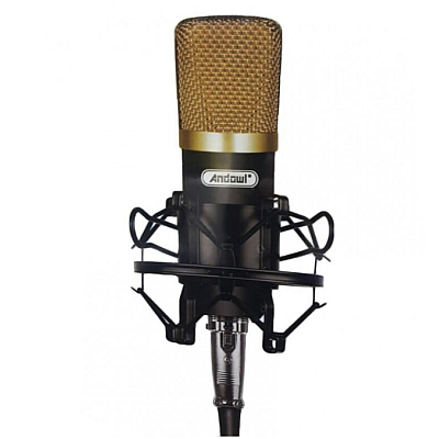 Microfon profesional Andowl Q Mic3 pentru inregistrari