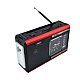 Radio MP3 portabil Q FM40 ceas USB 