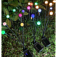 Set 2 lampi solare model LICURICI 6 Led multicolor