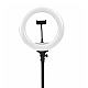 Lampa Ring Light 13 inch 3200k-5600k cu telecomanda Andowl Q L201