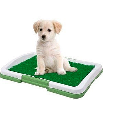 Tavita Toaleta cu iarba artificiala pentru animale Puppy Potty Pad