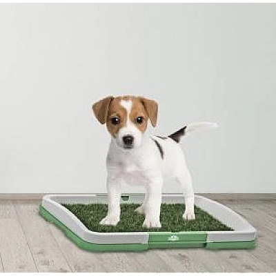 Tavita Toaleta cu iarba artificiala pentru animale Puppy Potty Pad