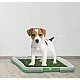 Tavita Toaleta cu iarba artificiala pentru animale Puppy Potty Pad