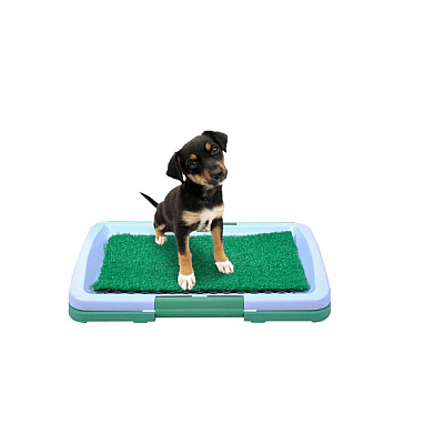 Tavita Toaleta cu iarba artificiala pentru animale Puppy Potty Pad