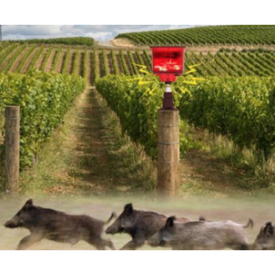 Alarma Solara cu ultrasunete pentru indepartarea animalelor Q Bj900