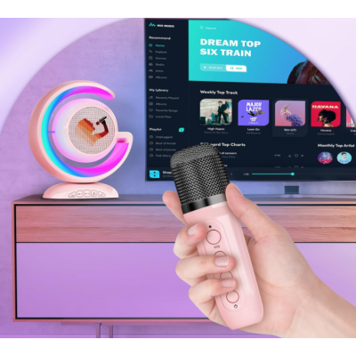 Boxa karaoke cu 2 microfoane wireless Bluetooth USB MI