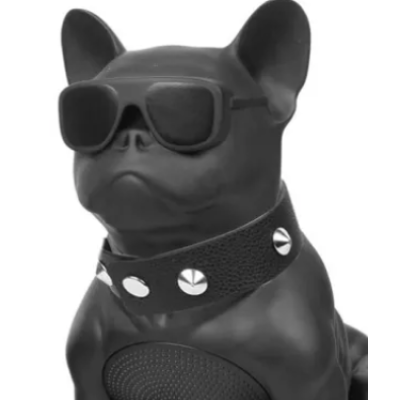 Boxa Portabila Bulldog NEGRU Cu Bluetooth CH M11M Cititor USB Card Radio si microfon