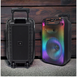 Boxa portabila cu Bluetooth GTS 1596 de 12 inch