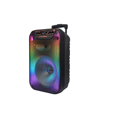 Boxa portabila cu Bluetooth GTS 1596 de 12 inch