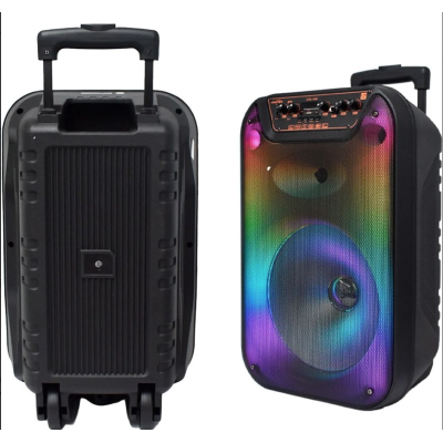 Boxa portabila cu Bluetooth GTS 1596 de 12 inch stil Troller