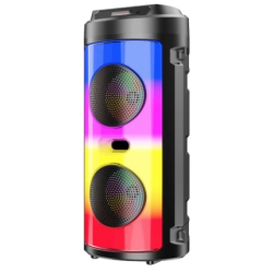 Boxa Portabila RGB ZQS-4248 cu Microfon