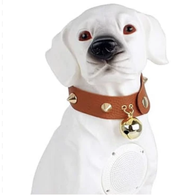 Boxa portabila wireless cu bluetooth si microfon tip labrador CH M211M