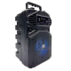 Difuzor Woofer KTS 1513 Portabil pentru Exterior cu Functii Bluetooth MP3 si Karaoke