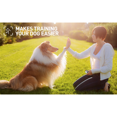 Dispozitiv anti-latrat cu senzor dublu cu moduri de antrenament/descurajare