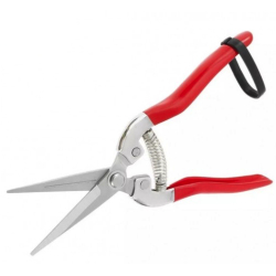 Foarfeca de cules legume/fructe dreapta