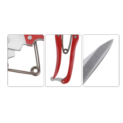 Foarfeca multifunctionala trandafiri animale caini oi