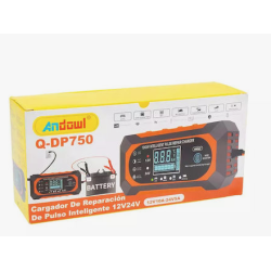 Incarcator de baterie auto Andowl 12/24V Q DP750