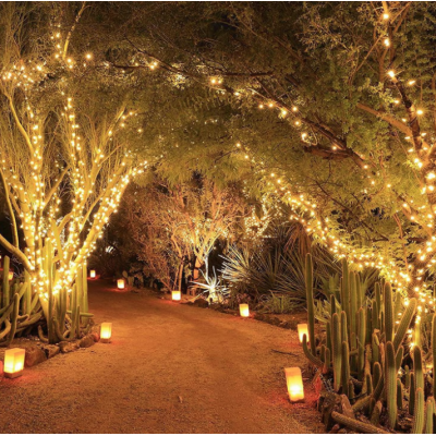 Instalatie solara decorativa 450 LED lungime 45 metri 1500 12 ALB CALD