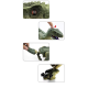 Jucarie 3D dinozaur cu lumini dinosaur assassin