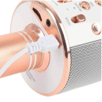 Microfon Karaoke WS 858 cu bluetooth si boxa incorporata