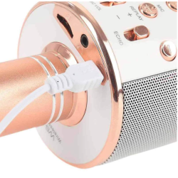 Microfon Karaoke WS 858 cu bluetooth si boxa incorporata