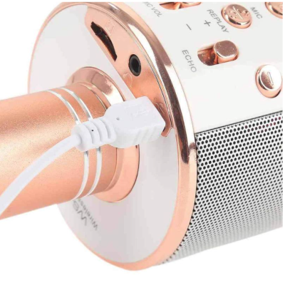 Microfon Karaoke WS 858 cu bluetooth si boxa incorporata