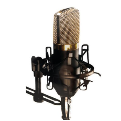 Microfon profesional Andowl Q Mic3 pentru inregistrari