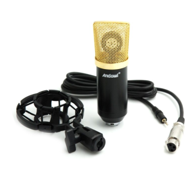 Microfon profesional Andowl Q Mic3 pentru inregistrari