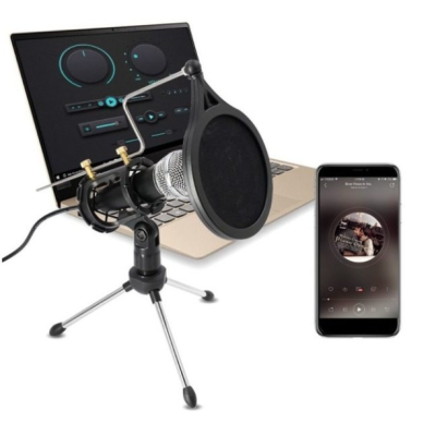 Microfon Profesional de inregistrare vocala si Karaoke pentru Studio WG 500II