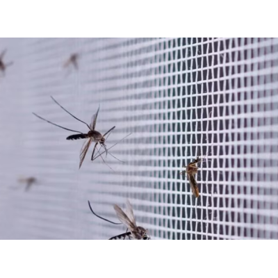 Plasa Magnetica Anti Insecte 150x180cm Inchidere cu Magneti Puternici Ideala pentru Ferestre