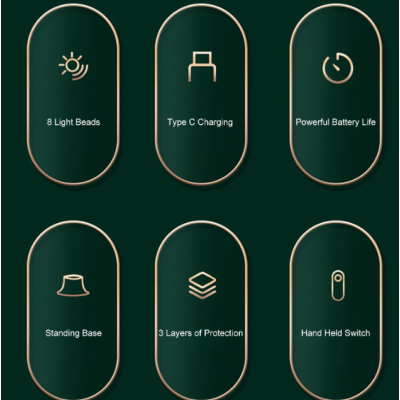 Racleta electrica pentru insecte USB reincarcabila