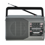 Radio portabil FP-1371